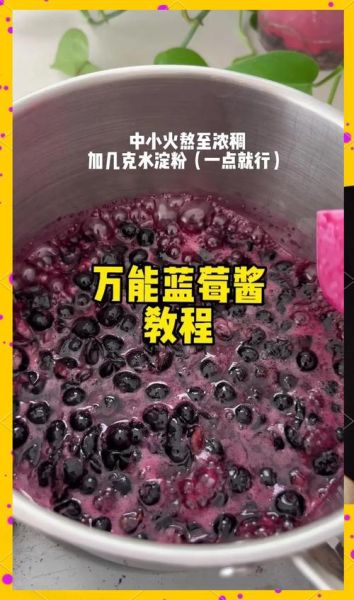 蓝莓酱怎么做_蓝莓酱保存多久