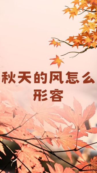 秋天的风有什么特点_秋天的风怎么描写