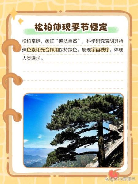 松柏苍苍象征什么_松柏苍苍的寓意有哪些