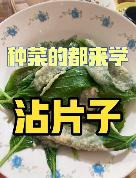 沾片子的做法_沾片子怎么做才筋道