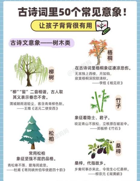 绿树成树木词语_怎么区分绿树与成树