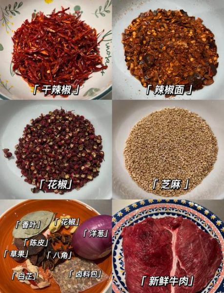 冷吃牛肉怎么做_冷吃牛肉的做法步骤