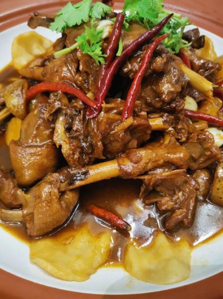 红烧鹅肉怎么做_红烧鹅肉最正宗的做法