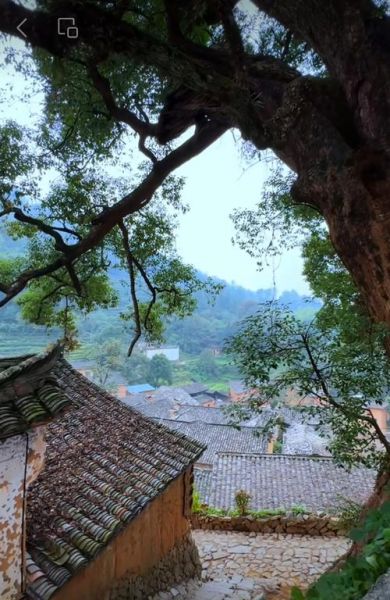 山村生活有哪些好处_如何体验山村慢生活