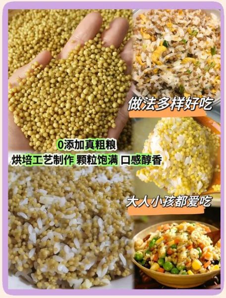 苦荞饭怎么煮_苦荞饭的做法窍门