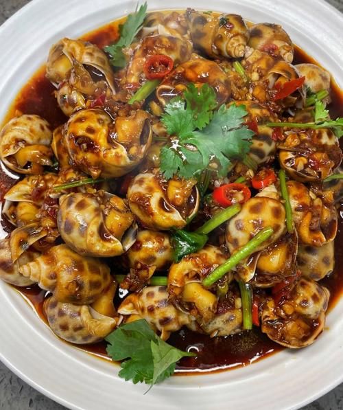 海螺怎么做好吃_海螺好吃的做法大全