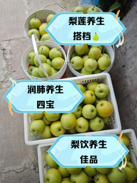 梨子组什么词语_梨子搭配哪些词最常用