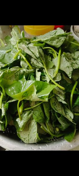 蒸地瓜叶怎么蒸_蒸地瓜叶要焯水吗