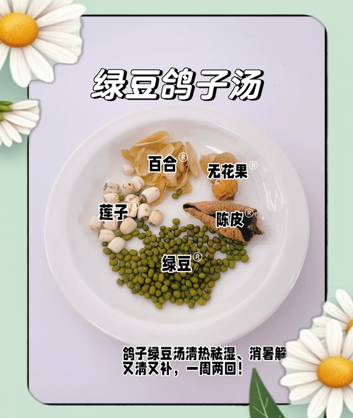 鸽子绿豆汤怎么煲_鸽子绿豆汤的功效与禁忌