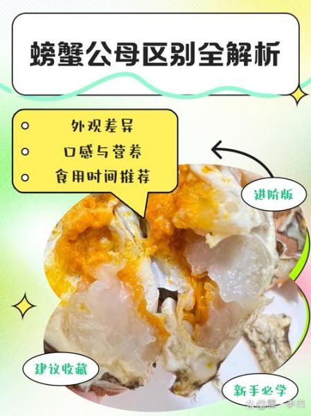 螃蟹外形特征有哪些_如何区分公母蟹