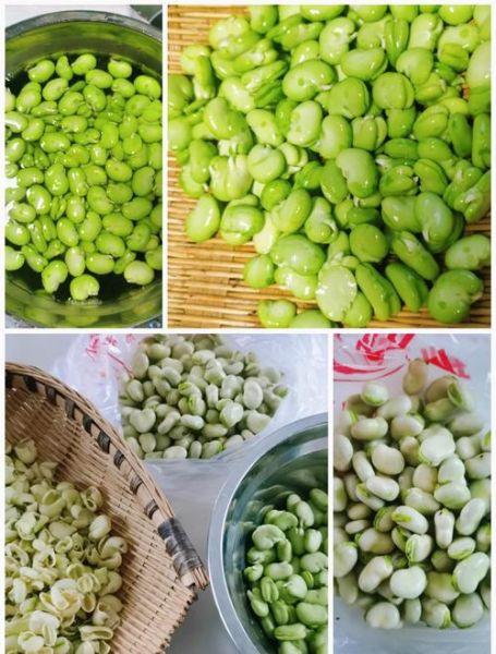 茴香豆怎么做好吃_茴香豆的做法步骤详解