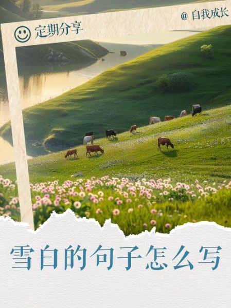 雪白白_雪白白是什么意思