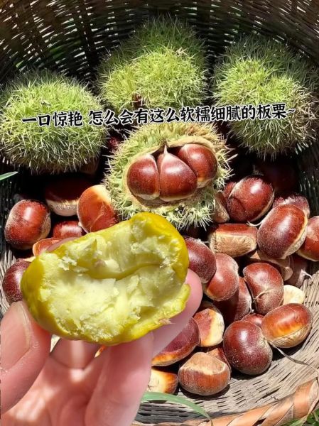 板栗怎么煮好吃_糖炒板栗做法