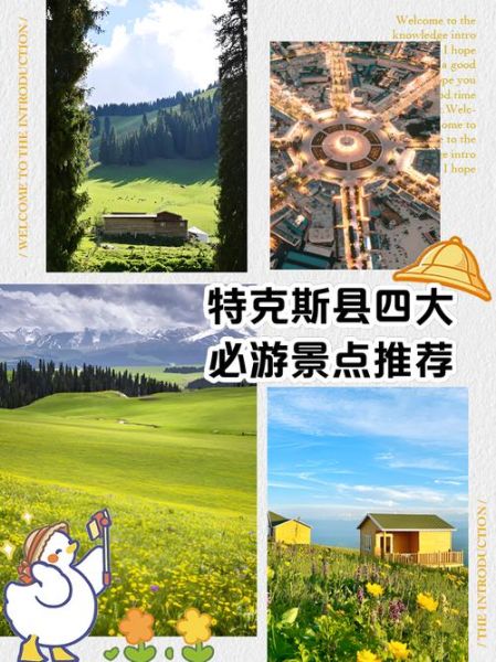 移民特克斯需要什么条件_移民特克斯要多少钱