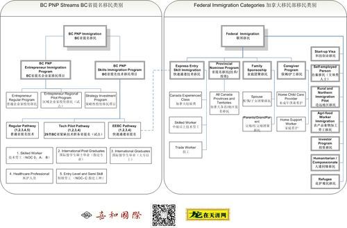 移民服务中心哪家好_移民服务中心流程