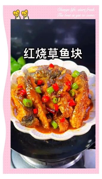 红烧鱼块怎么做_红烧鱼块用哪种鱼最好