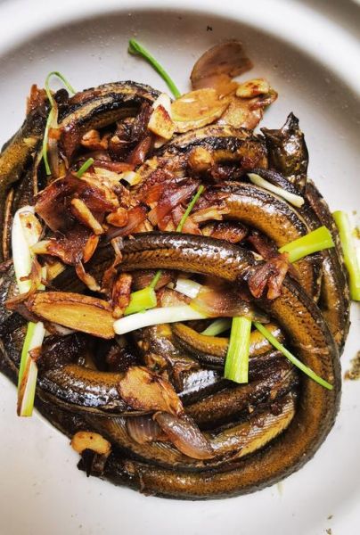 黄鳝怎么做好吃_黄鳝家常做法大全