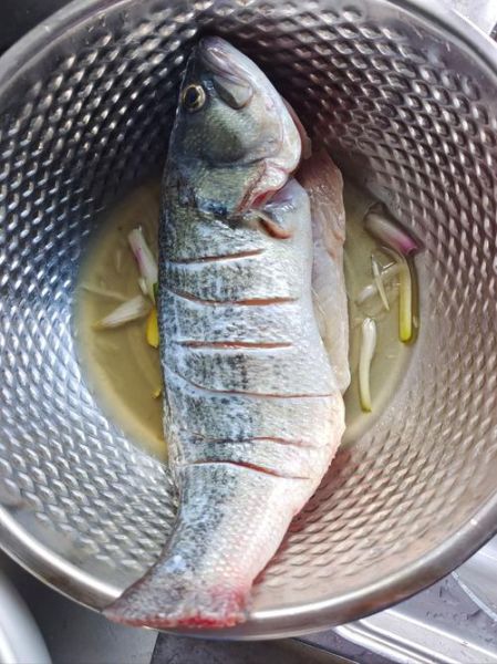 清蒸鲈鱼怎么做_清蒸鲈鱼需要蒸多久