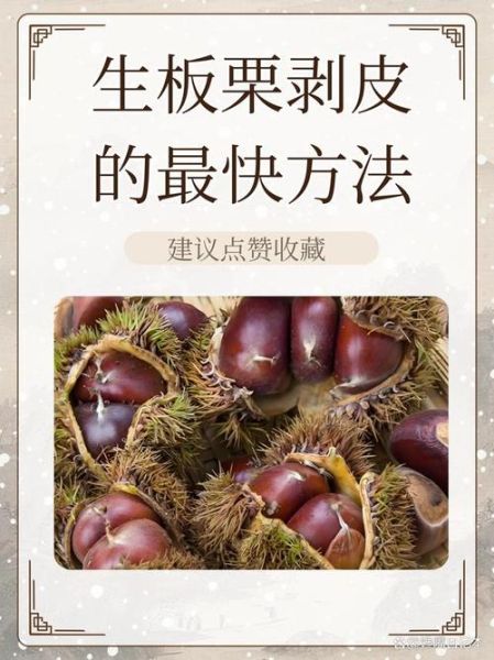 栗子怎么煮好吃_栗子怎么去皮最快