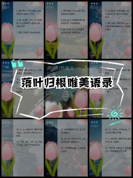 叶落为什么象征离别_叶落归根的含义是什么