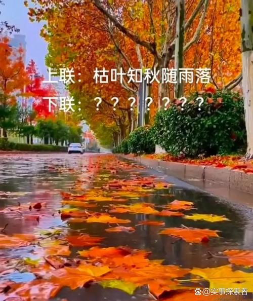 叶落为什么象征离别_叶落归根的含义是什么