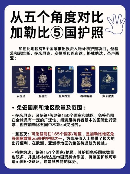 护照移民项目哪个国家好_护照移民项目费用是多少