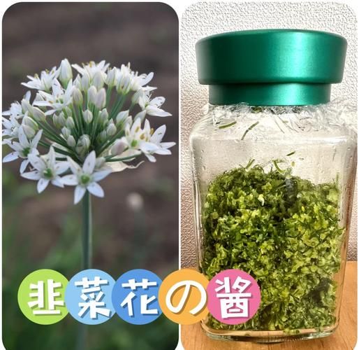 自制韭菜花酱怎么做_能保存多久