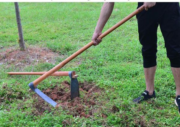 劳动耕作有哪些步骤_劳动耕作需要什么工具