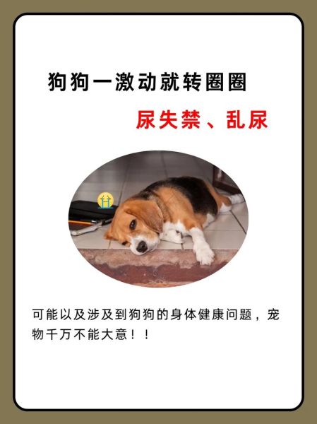 激动是什么意思_激动时身体有哪些反应