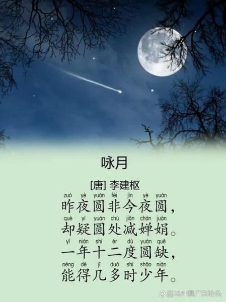 月光为什么是皎皎的_月光为什么是朗朗的