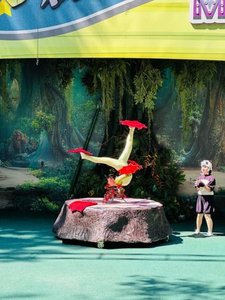 表演动物有哪些_表演动物训练方法