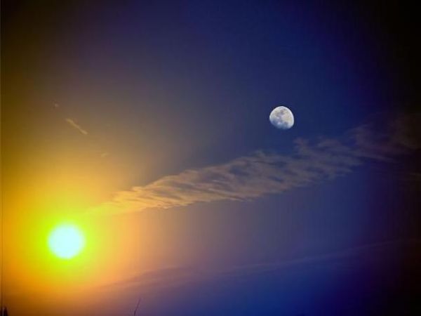 月光为什么是皎皎的_月光为什么是朗朗的