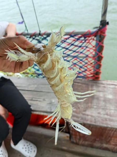 捕鱼照片怎么拍好看_捕鱼照片拍摄技巧