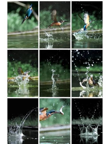 捕鱼照片怎么拍好看_捕鱼照片拍摄技巧