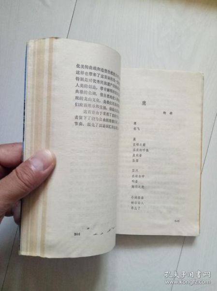 朦胧诗的特点是什么_如何欣赏朦胧诗