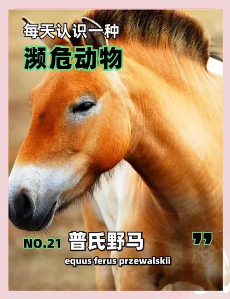 野马特征有哪些_野马和家马区别是什么