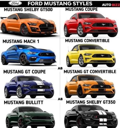 野马特征有哪些_野马和家马区别是什么