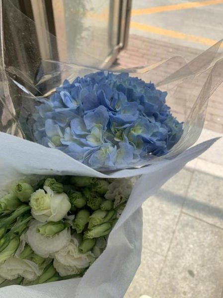 手机壁纸女_怎么选才不踩雷