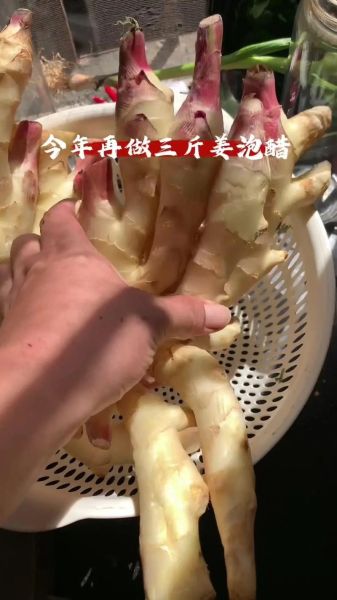 姜醋的做法_姜醋怎么做好吃