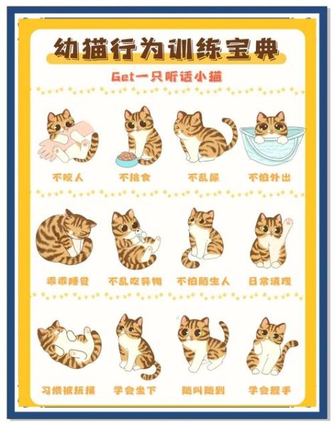 猫咪非常调皮怎么办_如何训练猫咪不拆家