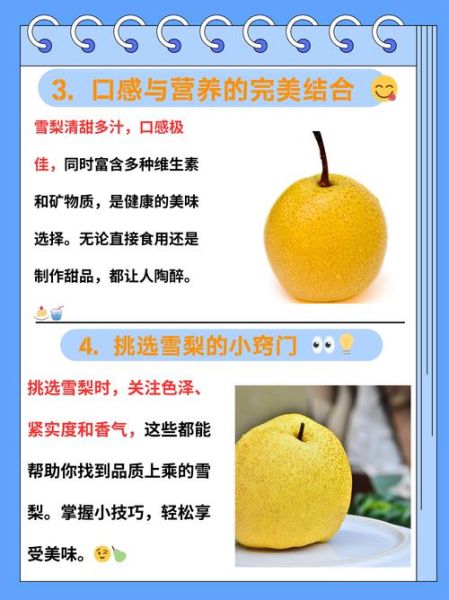 梨子什么时候吃最好_梨子的功效与作用有哪些