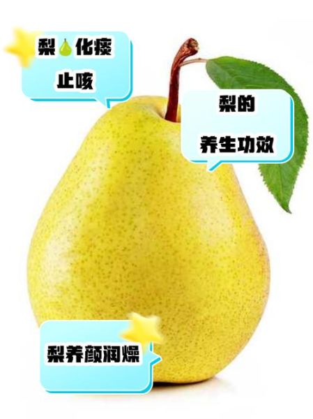 梨子什么时候吃最好_梨子的功效与作用有哪些