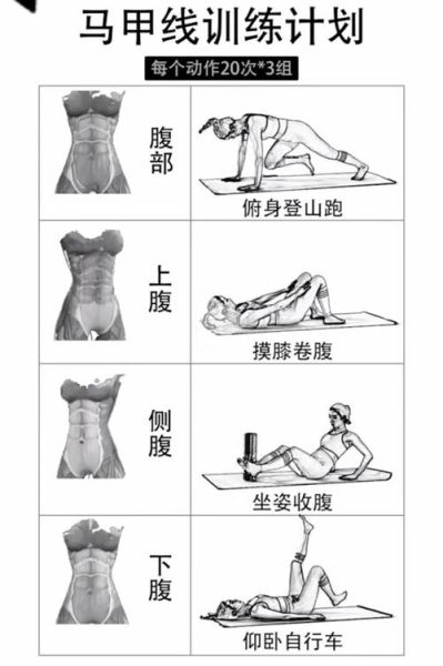 腰腹训练多久见效_如何练出马甲线