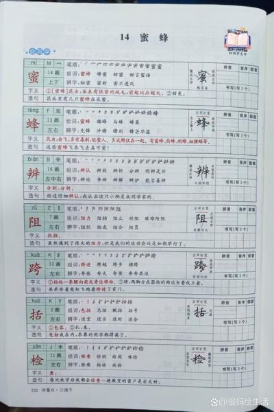 蜜蜂AA词语有哪些_如何快速记忆