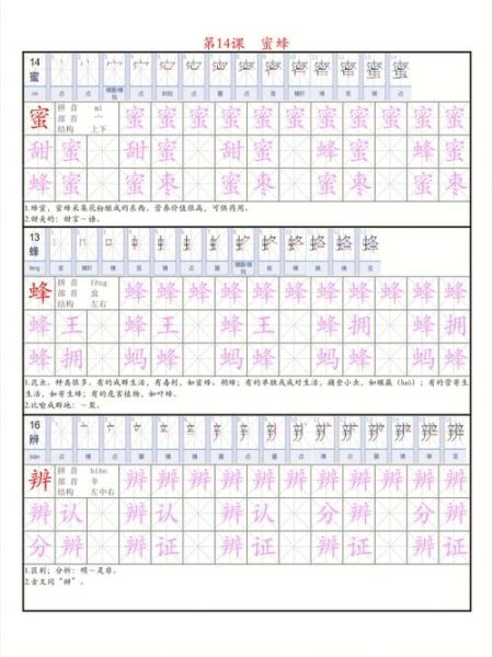 蜜蜂AA词语有哪些_如何快速记忆