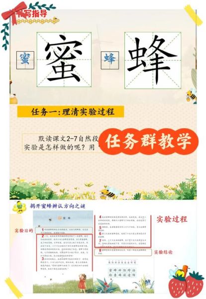 蜜蜂AA词语有哪些_如何快速记忆