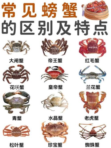 螃蟹类似词语有哪些_如何区分这些近义词