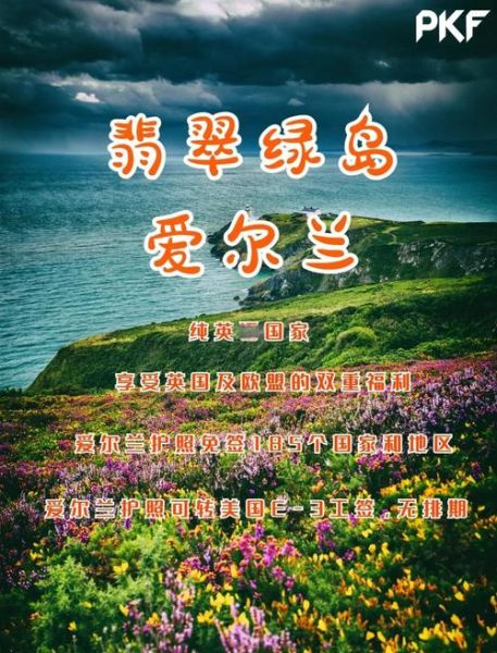 爱尔兰结婚移民条件_爱尔兰结婚移民多久能拿到永居