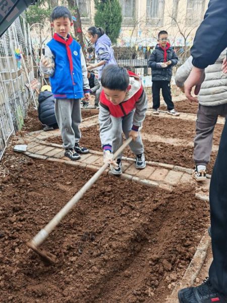 春耕播种_农事活动有哪些