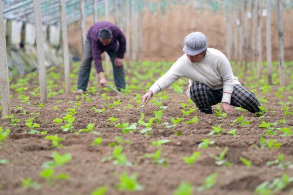春耕播种_农事活动有哪些